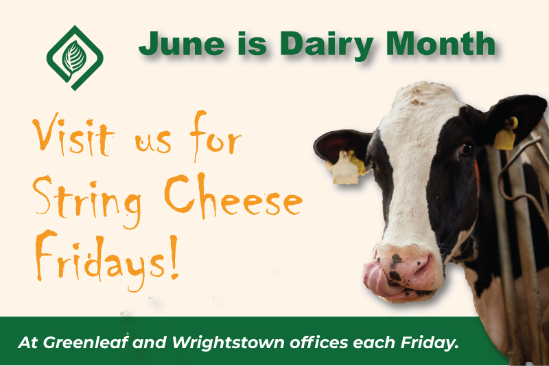 Free String Cheese Fridays in June!
